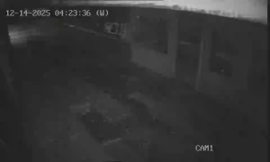 Caméra IP - Turquie