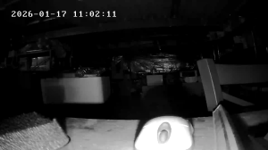 Caméra IP - Vereinigte Staaten von Amerika