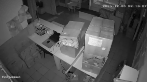 Caméra IP - Russian Federation