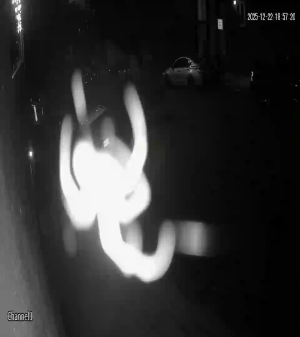 Caméra IP - Mexique