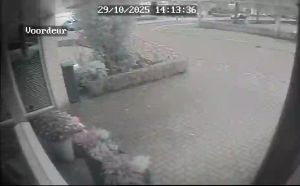 Caméra IP - Países Bajos