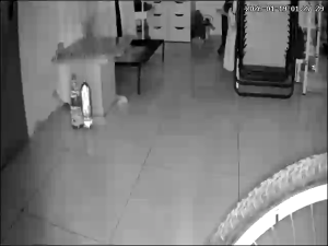 Caméra IP - Malaysia