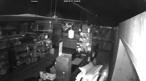 Caméra IP - South Africa