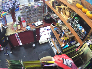 Caméra IP - United States of America