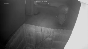 Caméra IP - Belgium