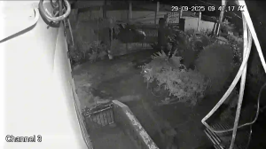Caméra IP - Trinité-et-Tobago