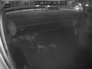 Caméra IP - Südkorea