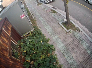 Caméra IP - Südkorea