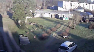 Caméra IP - Letonia