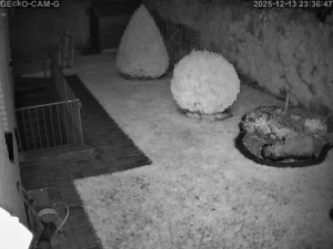 Caméra IP - Alemania