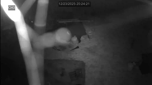 Caméra IP - Vereinigte Staaten von Amerika