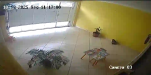 Caméra IP - Brasil
