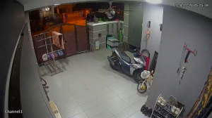 Caméra IP - Malaisie