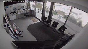 Caméra IP - Nueva Zelanda