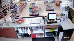 Caméra IP - États-Unis d'Amérique