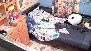 Caméra IP - United States of America