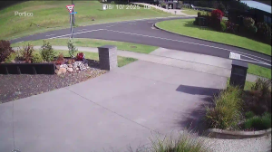 Caméra IP - New Zealand