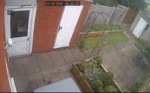 Caméra IP - United Kingdom