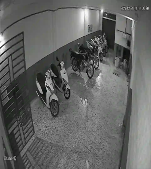 Caméra IP - Dominikanische Republik