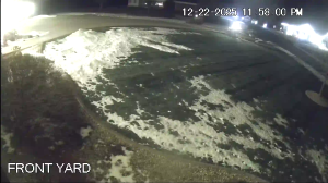 Caméra IP - Vereinigte Staaten von Amerika