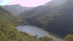 Caméra IP - South Korea