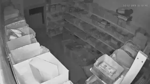 Caméra IP - Russische Föderation