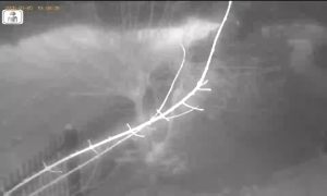 Caméra IP - Lituanie