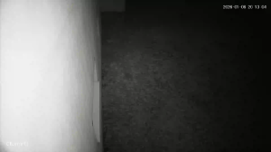 Caméra IP - Bosnien und Herzegowina