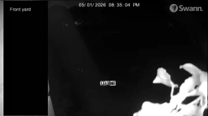 Caméra IP - Australien