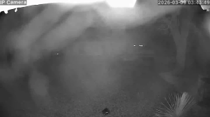 Caméra IP - Francia