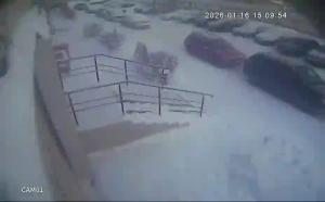 Caméra IP - Russian Federation