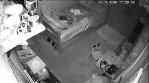 Caméra IP - United States of America