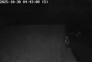 Caméra IP - Australien