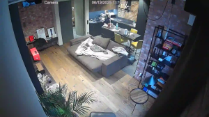 Caméra IP - Russian Federation