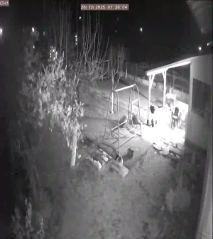 Caméra IP - Denmark