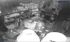 Caméra IP - Vietnam