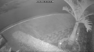 Caméra IP - Porto Rico