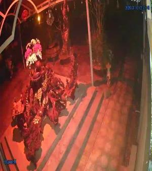 Caméra IP - Vietnam