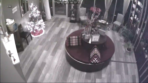 Caméra IP - Vereinigte Staaten von Amerika