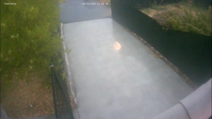 Caméra IP - Nouvelle-Zélande