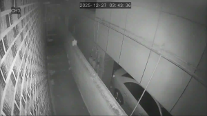 Caméra IP - South Korea