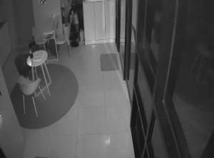 Caméra IP - South Korea