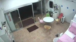 Caméra IP - Giappone