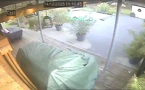 Caméra IP - Francia