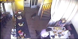 Caméra IP - Romania