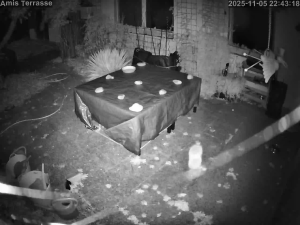 Caméra IP - Allemagne