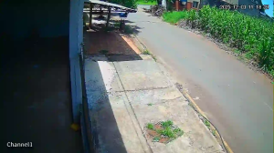 Caméra IP - Paraguay