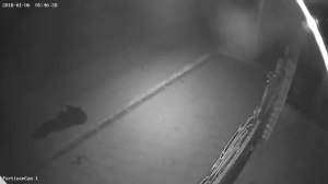 Caméra IP - Ucrania