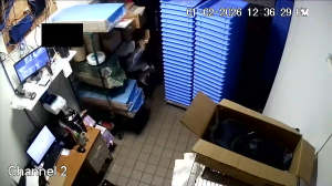 Caméra IP - United States of America