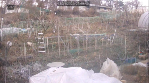 Caméra IP - South Korea